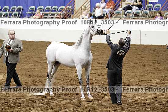 Proof Number 10r12_3503