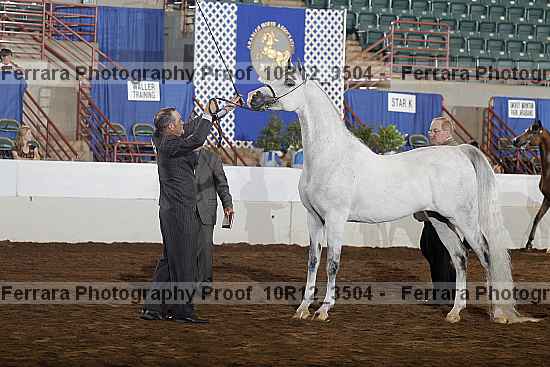 Proof Number 10r12_3504
