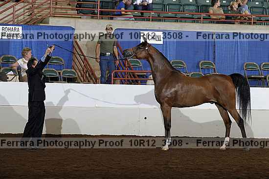 Proof Number 10r12_3508