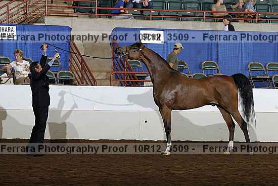 Proof Number 10r12_3509