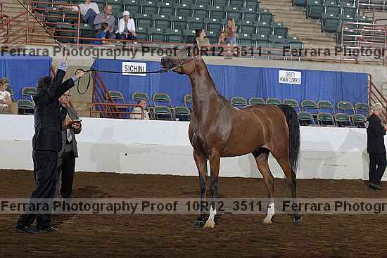 Proof Number 10r12_3511