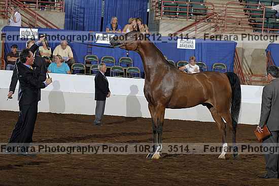 Proof Number 10r12_3514