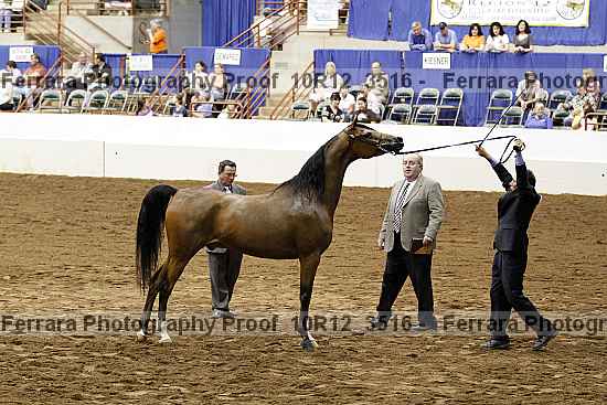 Proof Number 10r12_3516