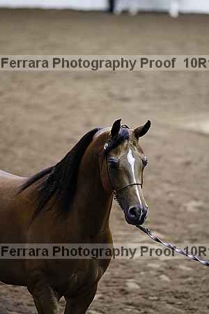 Proof Number 10r12_3519