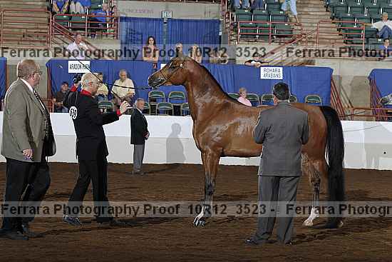 Proof Number 10r12_3523
