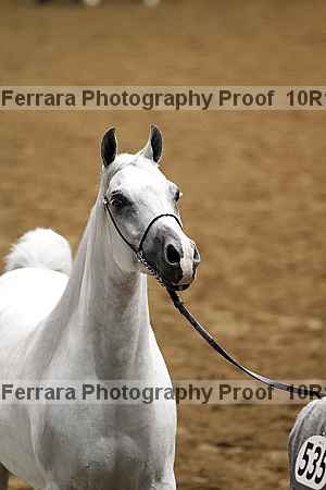 Proof Number 10r12_3529