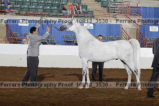 Proof Number 10r12_3530