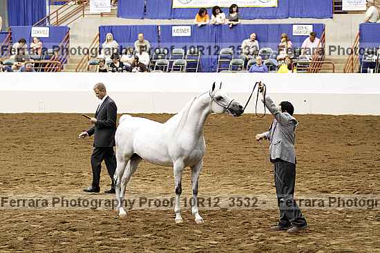 Proof Number 10r12_3532