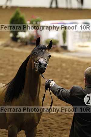 Proof Number 10r12_3536