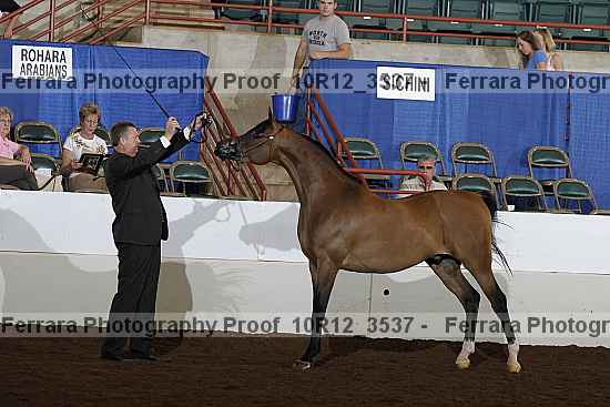 Proof Number 10r12_3537