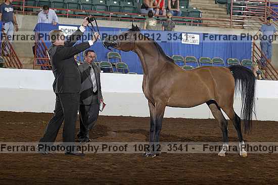 Proof Number 10r12_3541