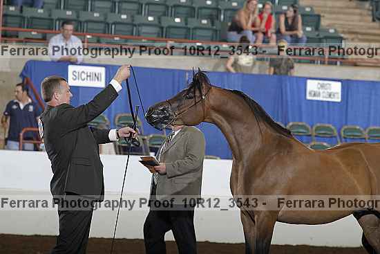 Proof Number 10r12_3543
