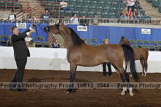 Proof Number 10r12_3544