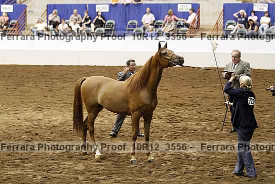 Proof Number 10r12_3556