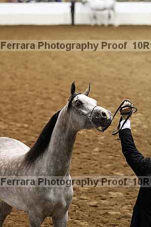 Proof Number 10r12_3558
