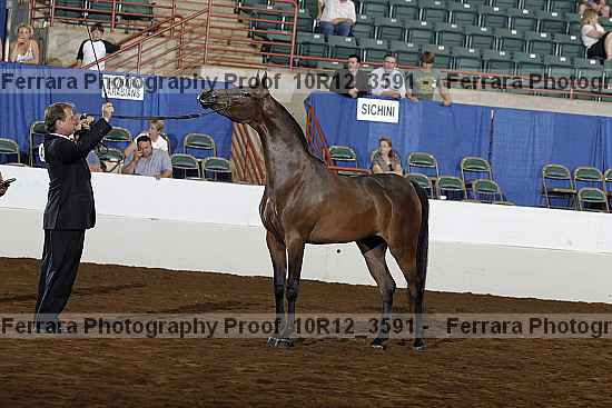 Proof Number 10r12_3591