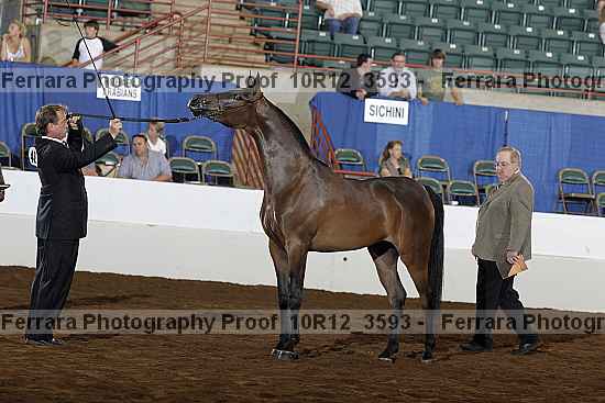 Proof Number 10r12_3593