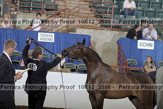 Proof Number 10r12_3596