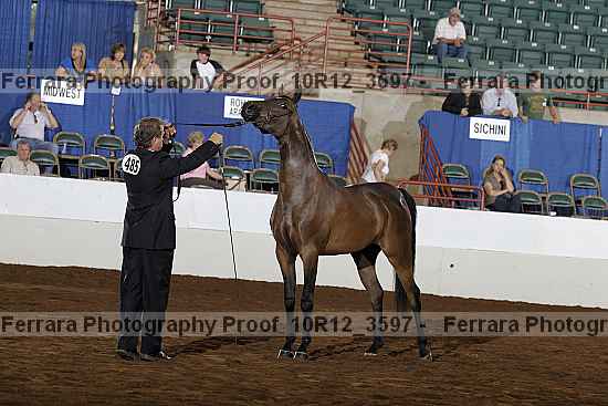 Proof Number 10r12_3597