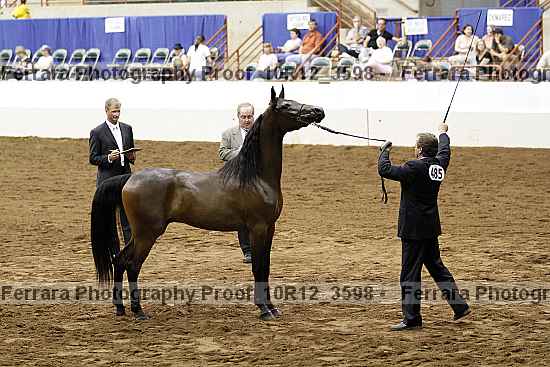 Proof Number 10r12_3598