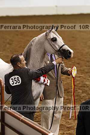 Proof Number 10r12_3612