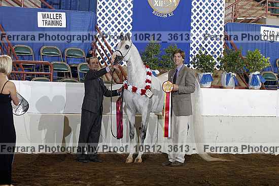 Proof Number 10r12_3613