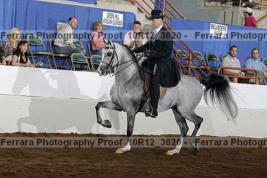 Proof Number 10r12_3620