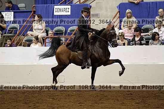 Proof Number 10r12_3644