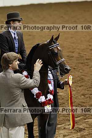 Proof Number 10r12_3648