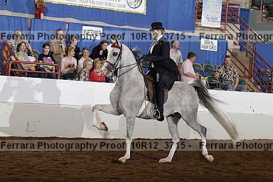 Proof Number 10r12_3715