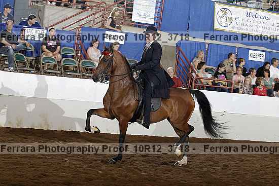 Proof Number 10r12_3718