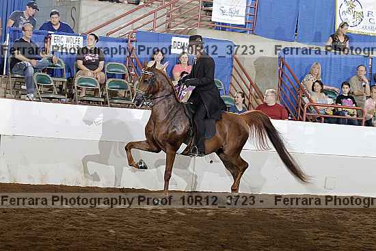 Proof Number 10r12_3723