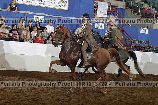 Proof Number 10r12_3729