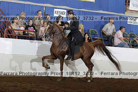 Proof Number 10r12_3732