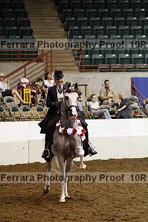 Proof Number 10r12_3761