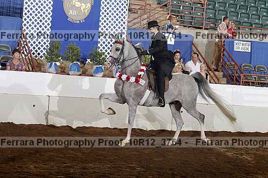 Proof Number 10r12_3764