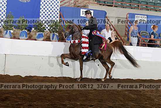 Proof Number 10r12_3767