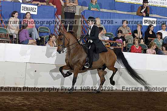 Proof Number 10r12_3798