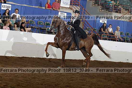 Proof Number 10r12_3799