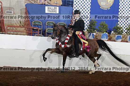 Proof Number 10r12_3854