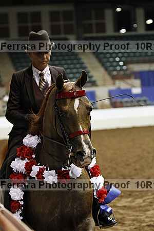 Proof Number 10r12_3864
