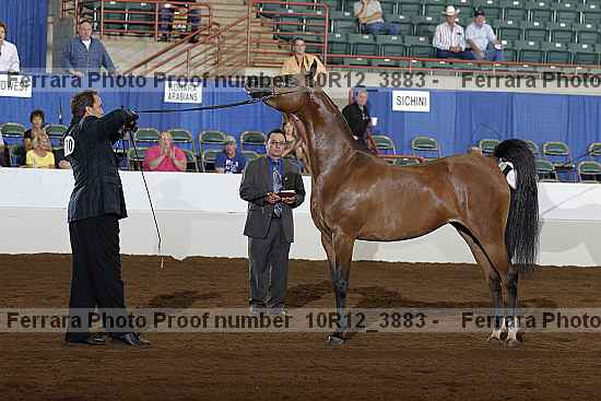 Proof Number 10r12_3883