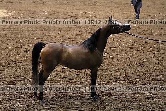 Proof Number 10r12_3890