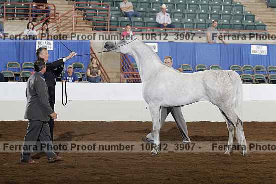 Proof Number 10r12_3907