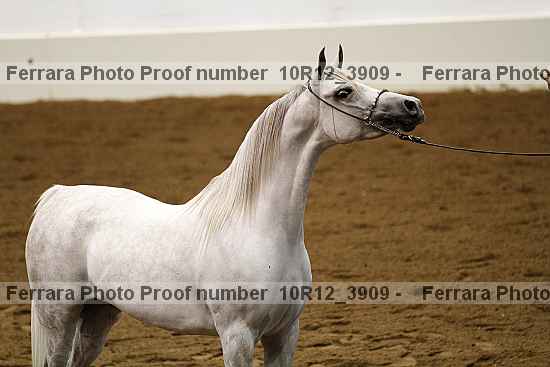 Proof Number 10r12_3909