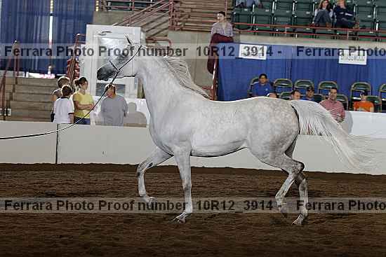 Proof Number 10r12_3914