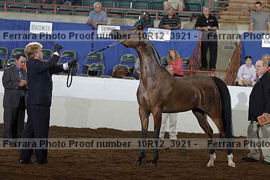 Proof Number 10r12_3921