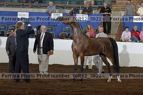 Proof Number 10r12_3922