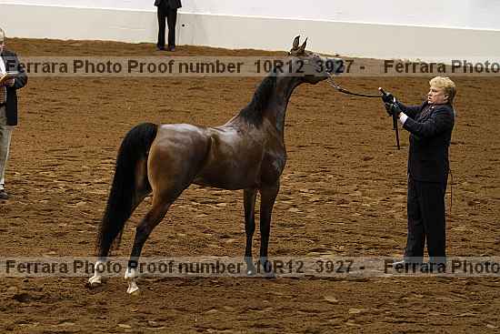 Proof Number 10r12_3927