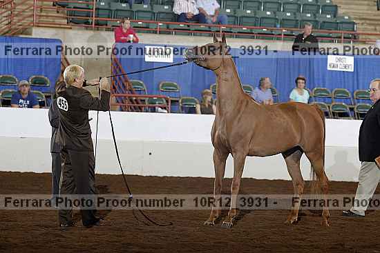 Proof Number 10r12_3931